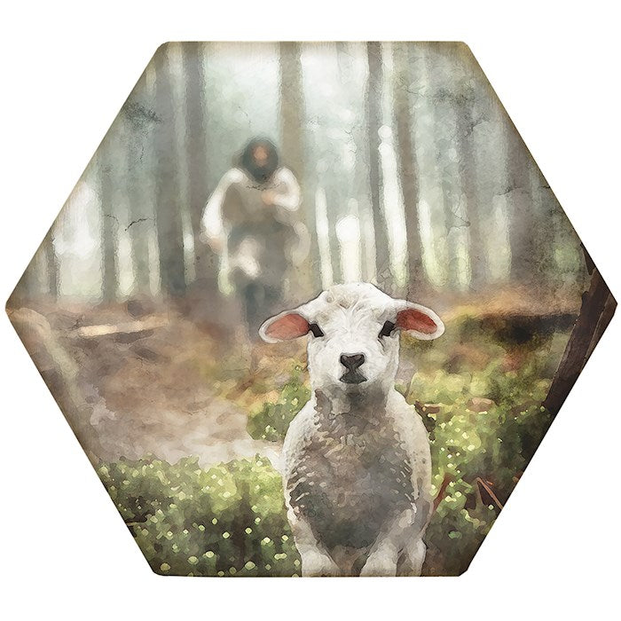 Coaster-Honeycomb-Jesus Rescuing Lamb (4.5 x 3.785)