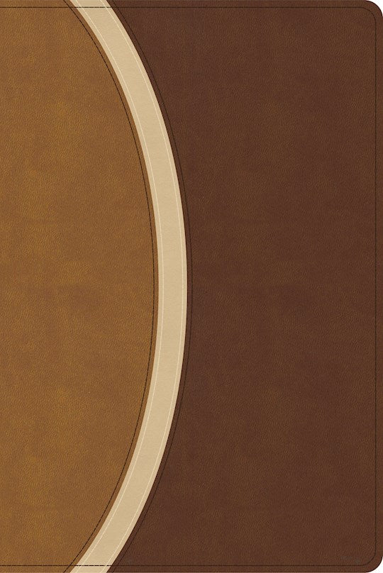 CSB Rainbow Study Bible (Limited Edition)-Brown LeatherTouch