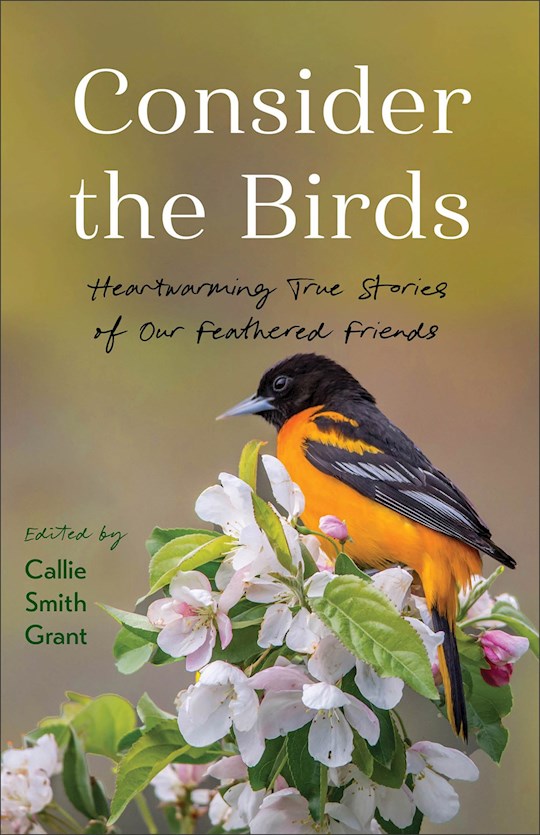 Consider the Birds