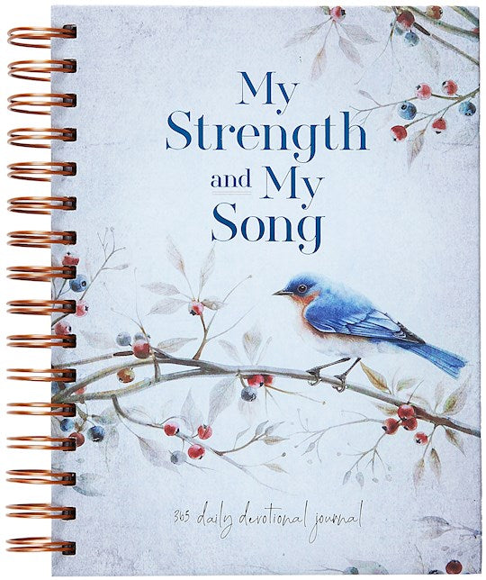My Strength And My Song