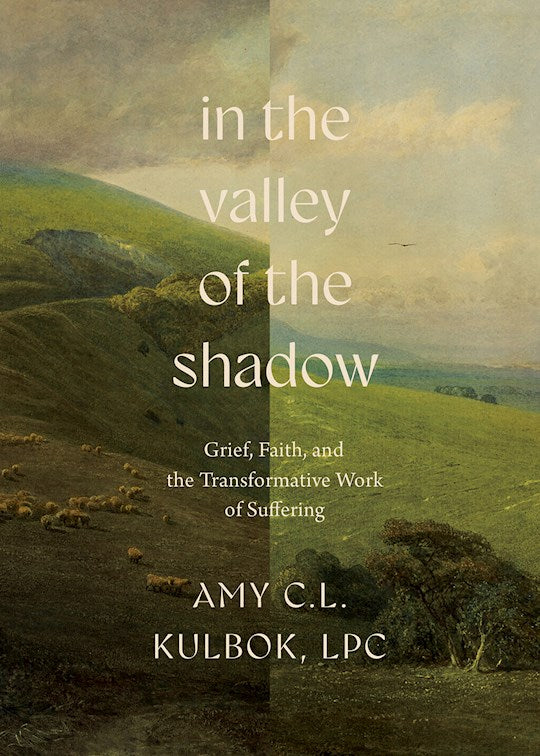 In The Valley Of The Shadow