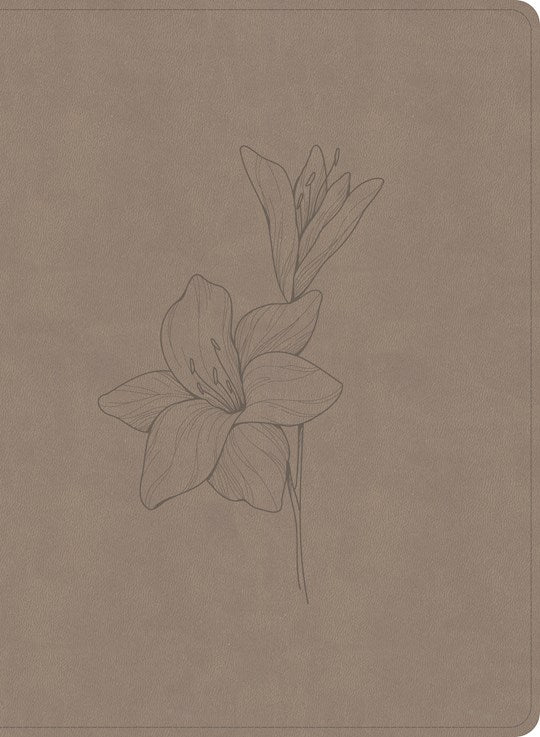 CSB Verse-by-Verse Reference Bible Digital Study Edition-Earth SuedeSoft LeatherTouch