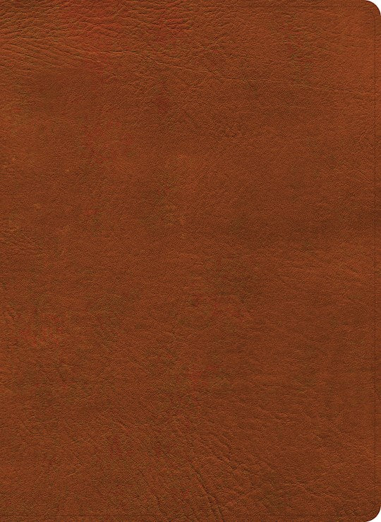 NASB 2020 Study Bible-Burnt Sienna LeatherTouch