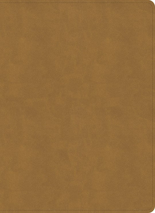 NASB 2020 Study Bible-Camel SuedeSoft LeatherTouch