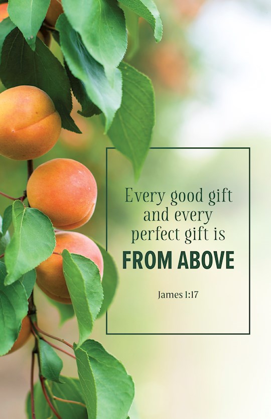 Bulletin-Every Good Gift...From Above (Pack Of 100)