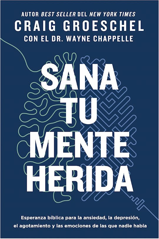 Sana tu mente herida (Heal Your Hurting Mind)