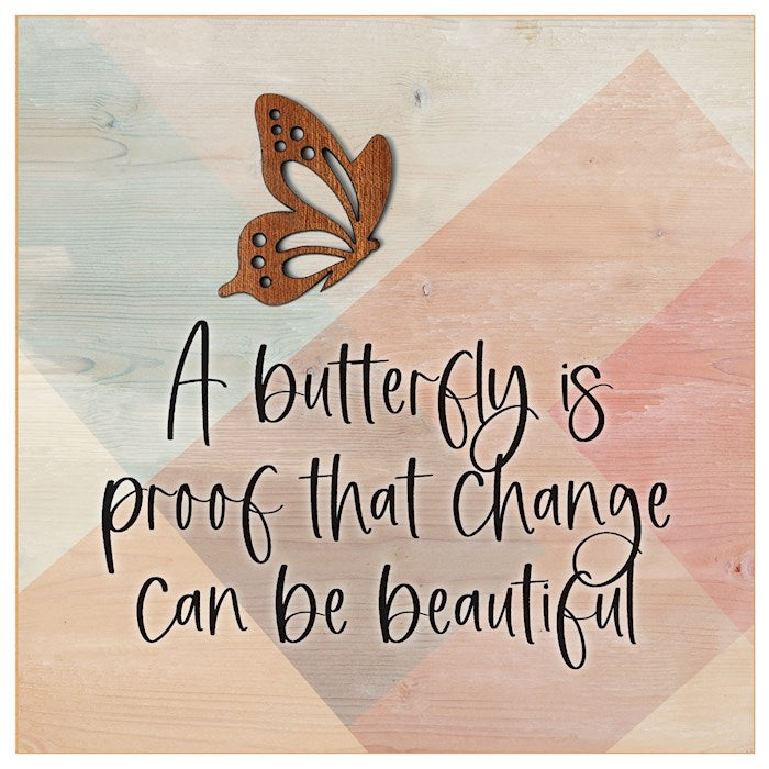 Compact Mirror-A Butterfly Is Proof