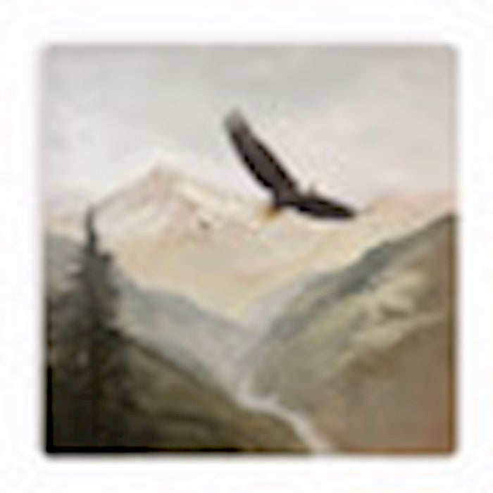 Coaster-Eagle (4 x 4) (Pack Of 6)