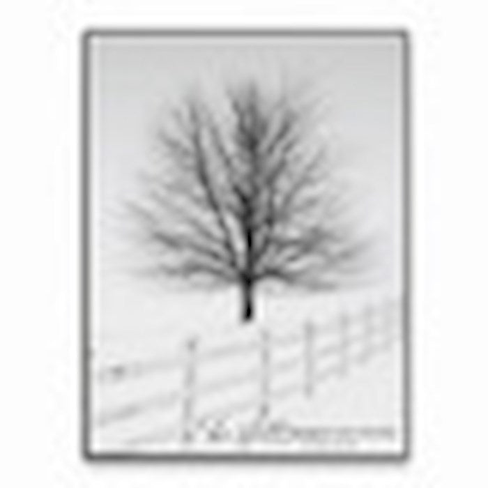 Wall Art-Be Still &amp; Know (16&quot; x 12&quot;)