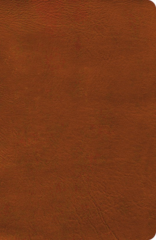 NASB 2020 Verse-by-Verse Reference Bible-Burnt Sienna LeatherTouch