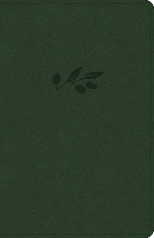 NASB 2020 Verse-by-Verse Reference Bible-Olive LeatherTouch
