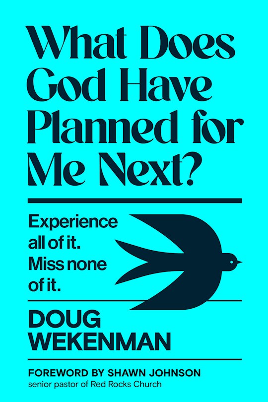 What Does God Have Planned For Me Next?