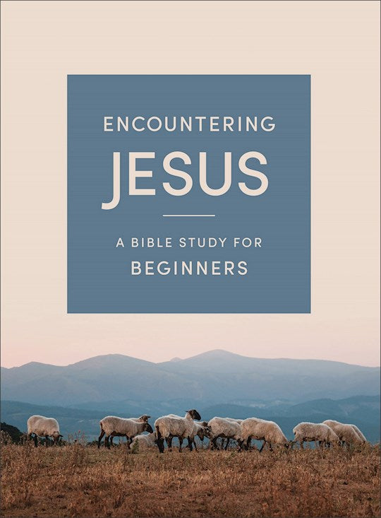 Encountering Jesus