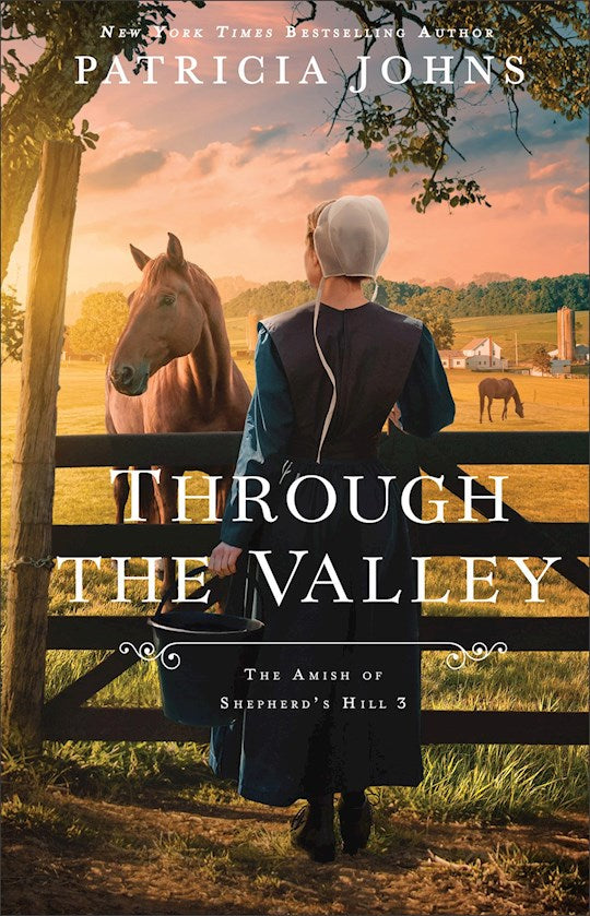 Through The Valley (The Amish of Shepherd&