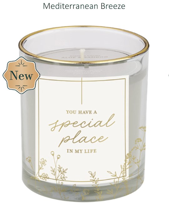 Candle-You Have A Special Place In My Life/Aloe &amp; Bamboo Scent In Glass Jar
