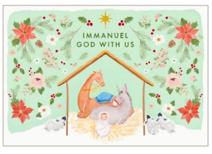 Boxed Card-Christmas-Poinsettia Nativity (Box Of 16)