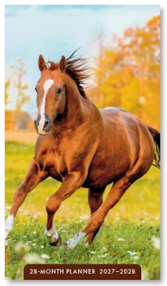 2027 Horses 28-Month Planner