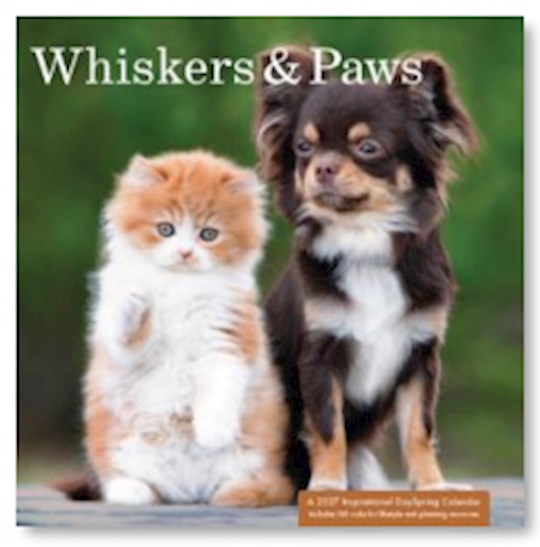 2027 Mini Wall Calendar-Whiskers &amp; Paws