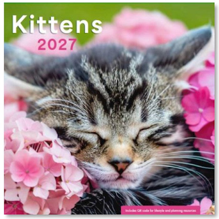 2027 Wall Calendar-Kittens Sleeping