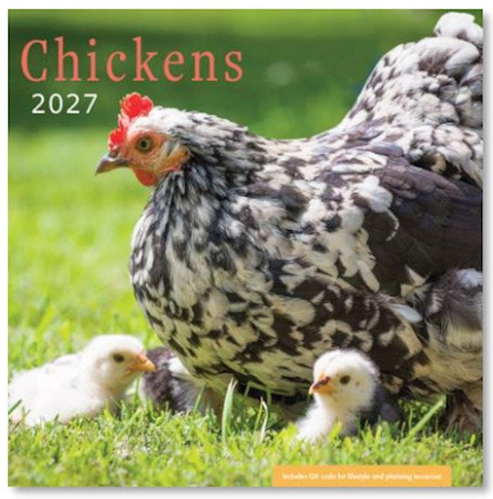 2027 Wall Calendar-Chickens