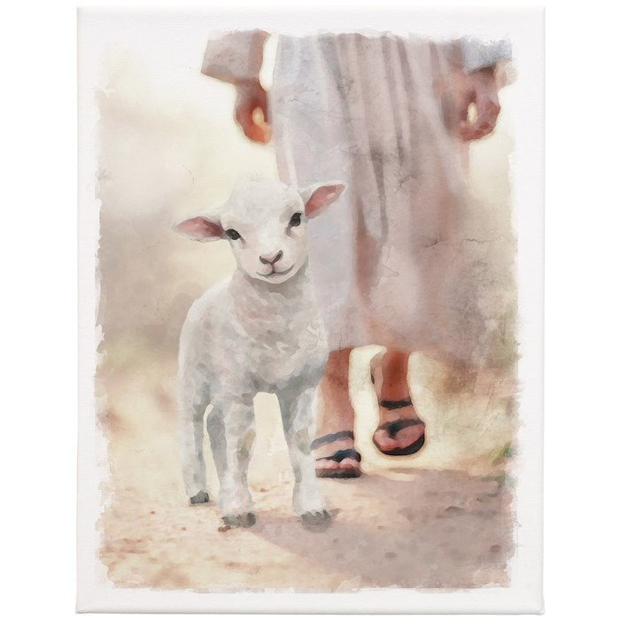 Wrapped Canvas-Lamb Walking On Path (9" X 12")