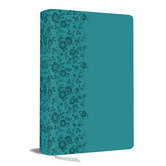 ESV The Bible Recap 365-Day Chronological Study Bible Large Print-Teal Imitation Leather
