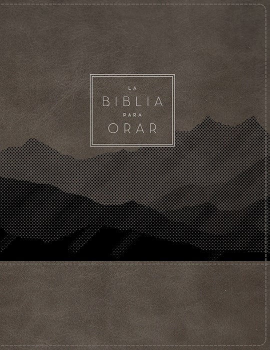 RVR 1960 La Biblia para orar (The Prayer Bible)-Gray Leathersoft