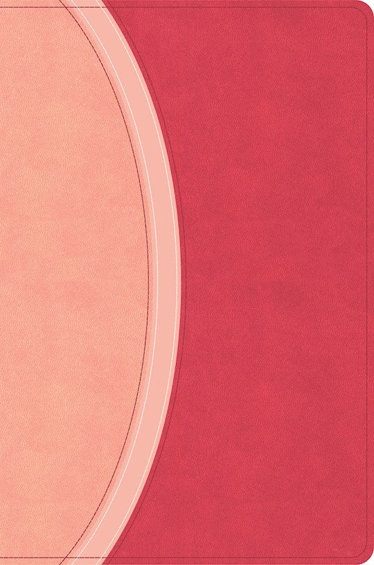 CSB Rainbow Study Bible-Pink LeatherTouch Indexed