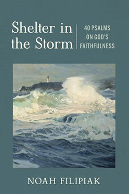 Shelter In The Storm