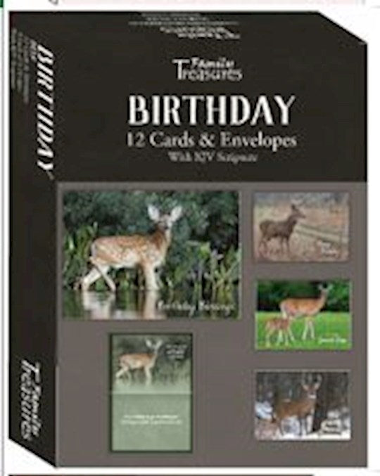 Boxed Card-Birthday-Deer (Pack Of 12)