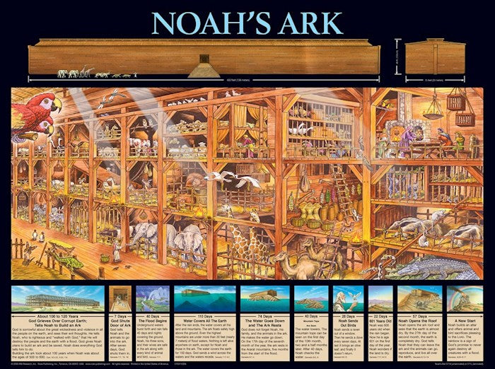 Chart-Noah&