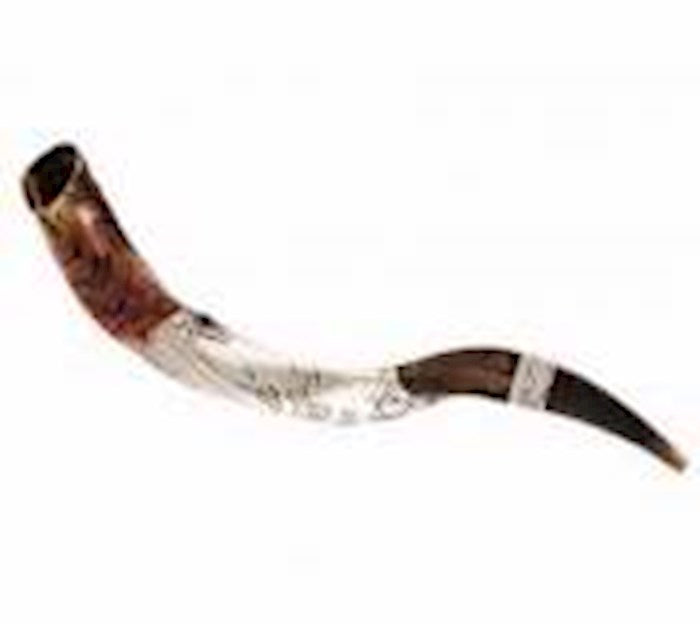 Shofar-Yemenite-Blow The Trumpet In Zion Ceremonial Silver Plated-(