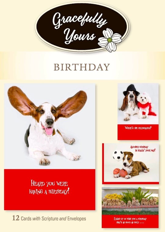 Boxed Card-Birthday-Paws For Celebration 