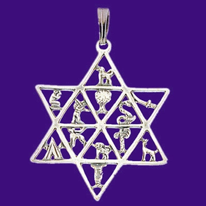 Necklace-Star Of David/12 Tribes (Sterling Silver)-20" Chain (