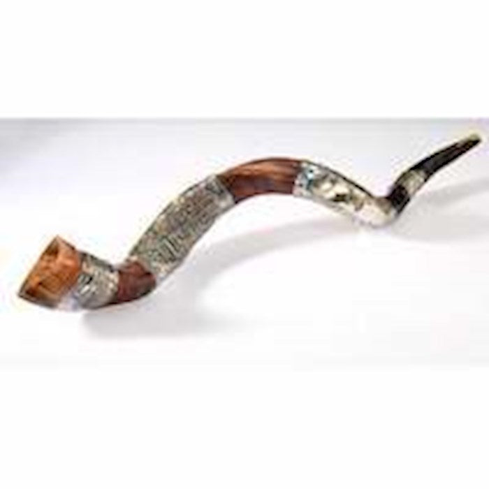 Shofar-Yemenite-Ceremonial-Silver Plated-Medium (
