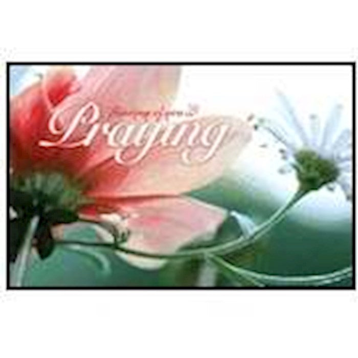 Postcard-Praying For You (Romans 15:13 KJV) (Pack Of 25)