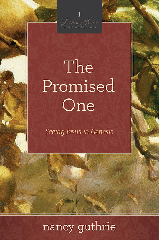 The Promised One (Seeing Jesus In The Old Testament V1)