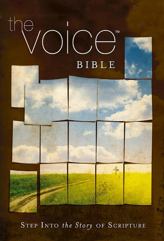 Voice Bible-Hardcover