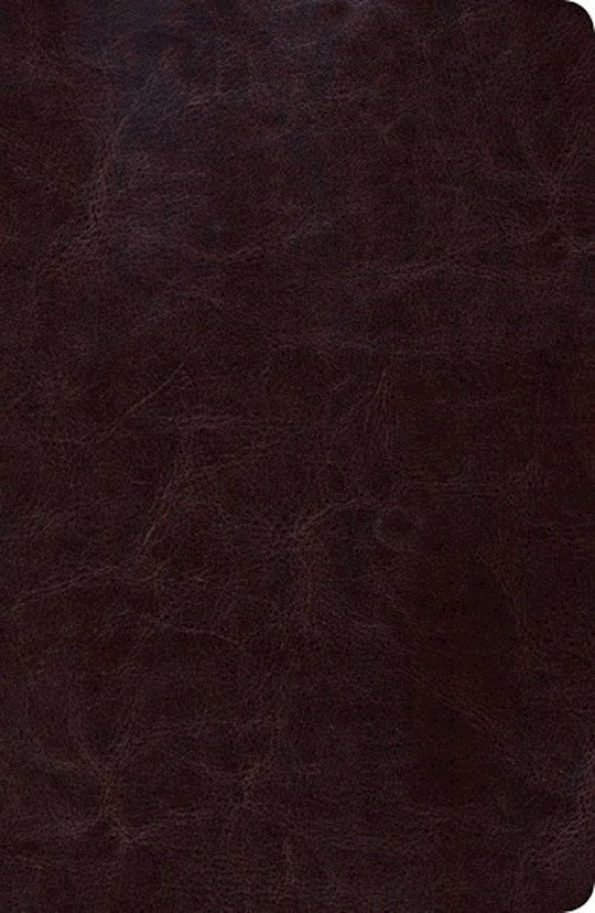 RVR 1960 Nueva Biblia de Estudio Scofield Tamano Personal (New Scofield Study Bible Personal Size)-Brown LeatherTouch