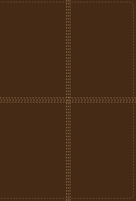 Biblia Bilingue NIV/RVR 1960 (RVR 1960/NIV Bilingual Bible)-Tan DuoTone