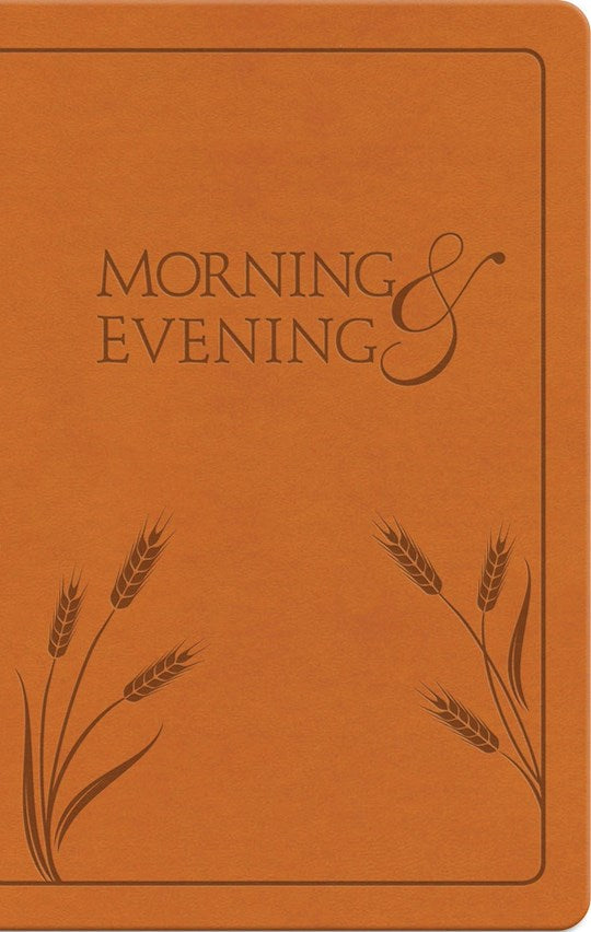 Morning &amp; Evening (NIV)-Honey Imitation Leather