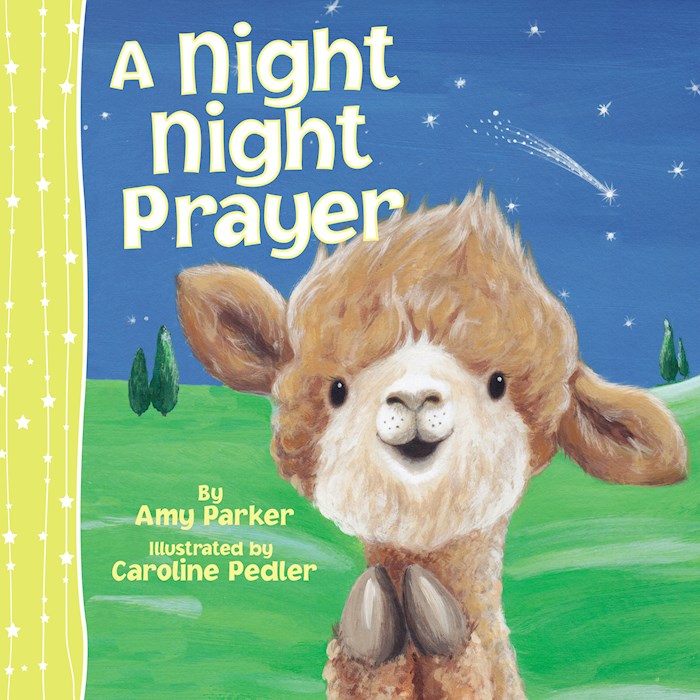 Night Night Prayer-Board Book