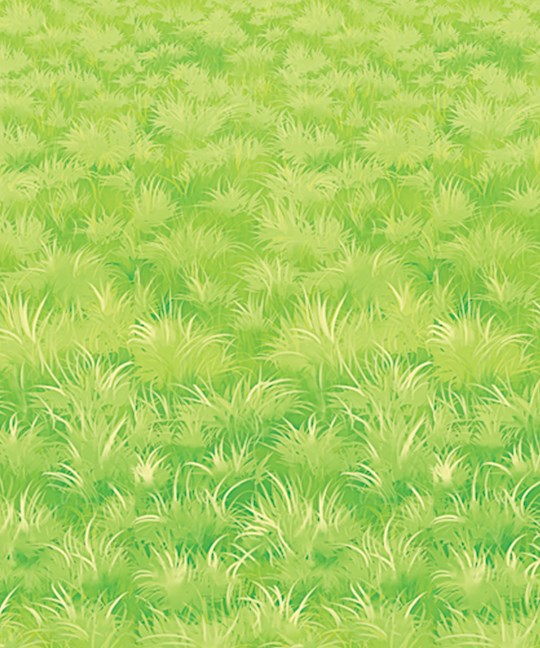 Meadow Plastic Backdrop (30&