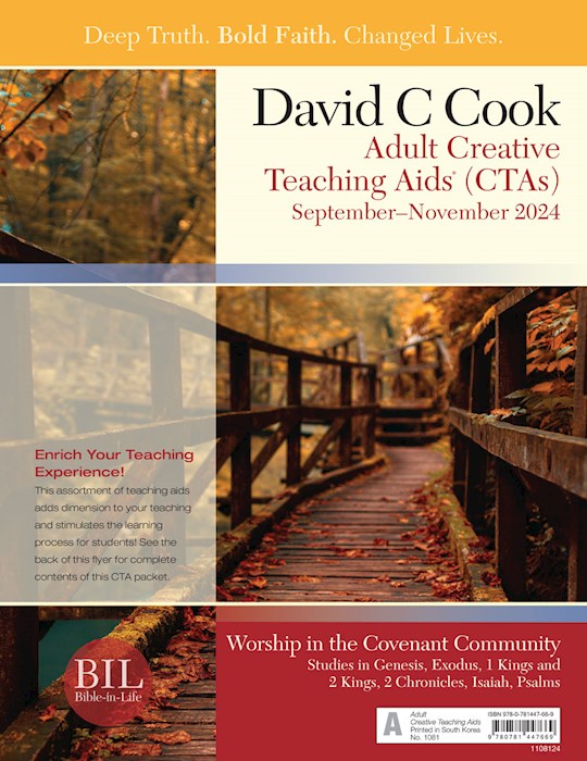 Bible-In-Life/Reformation Press Fall 2026: Adult Comprehensive Bible Study Creative Teaching Aids (