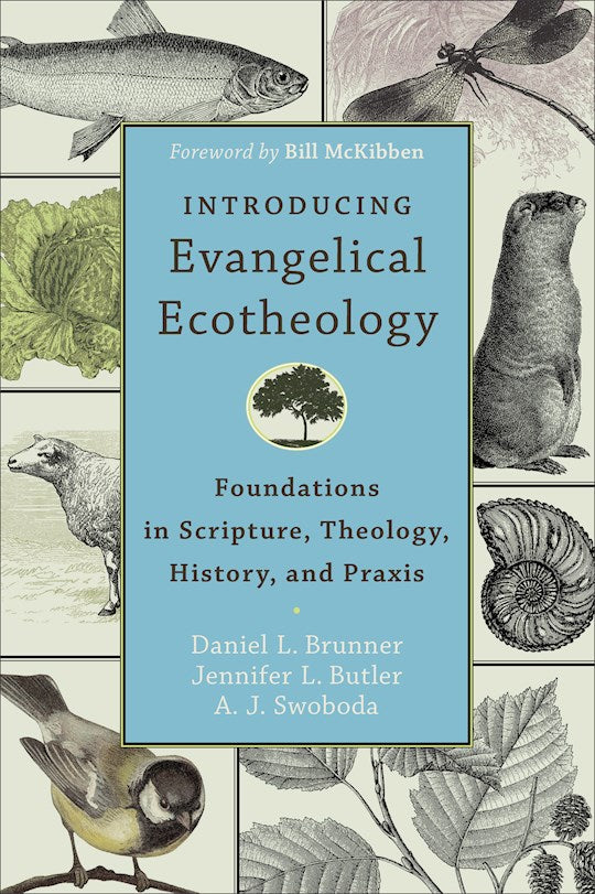 Introducing Evangelical Ecotheology