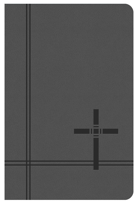 KJV Deluxe Gift &amp; Award Bible-Gray DiCarta