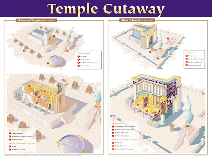 Chart-Temple Cutaway Wall (Laminated Sheet) (19" x 26")