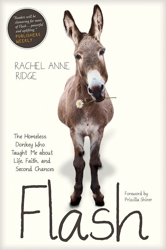 Flash: The Homeless Donkey Who Taught Me About Life Faith And Second Chances