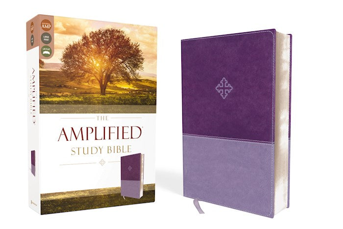 Amplified Study Bible (Revised)-Purple LeatherSoft