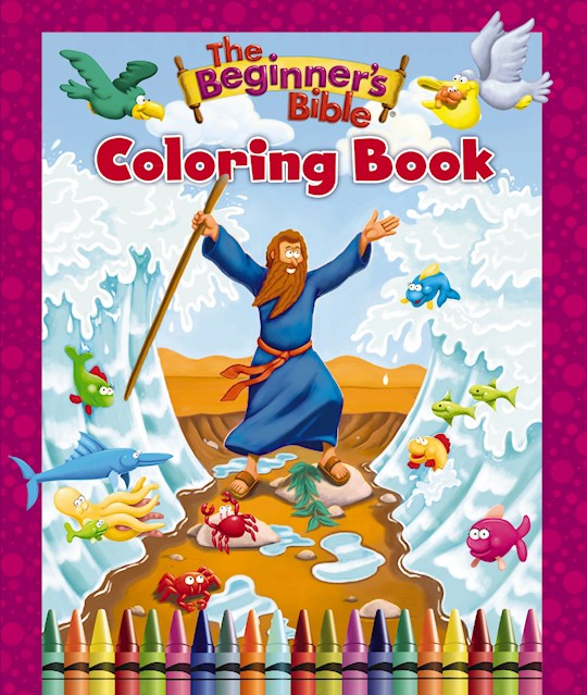 The Beginner&